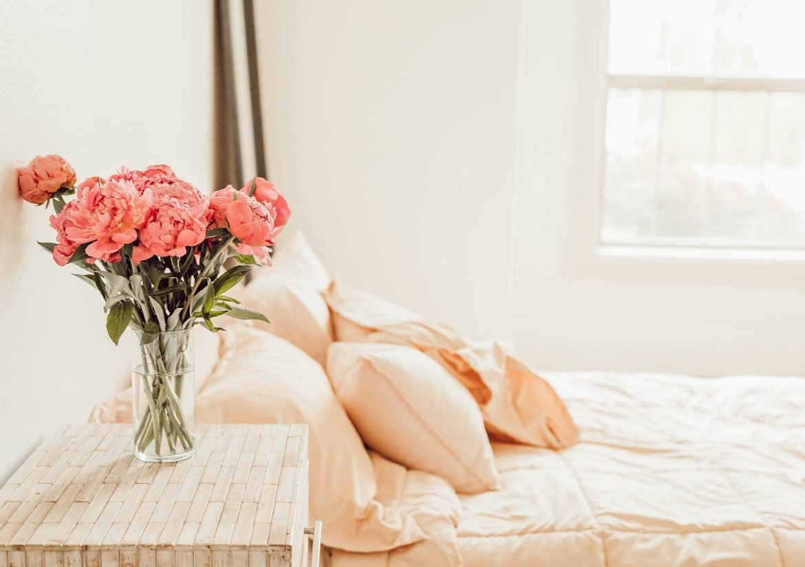 liana-mikah-709546-unsplash liana-mikah-709546-unsplash
